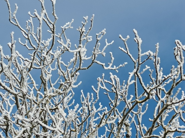 givre01.jpg