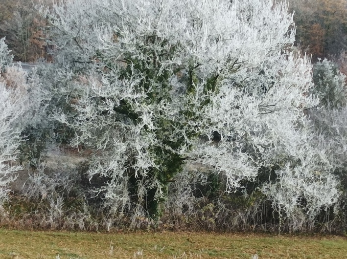 givre02.jpg