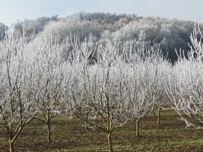 givre03.jpg