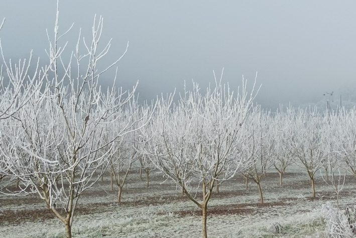 givre04.jpg