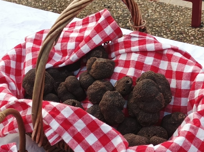 6truffes.jpg