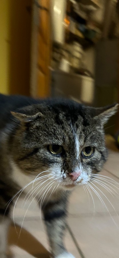 BOUDU.jpg