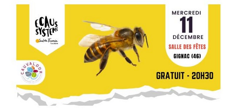 Abeilles1.JPG
