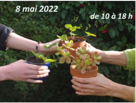 TrocPlantes.JPG