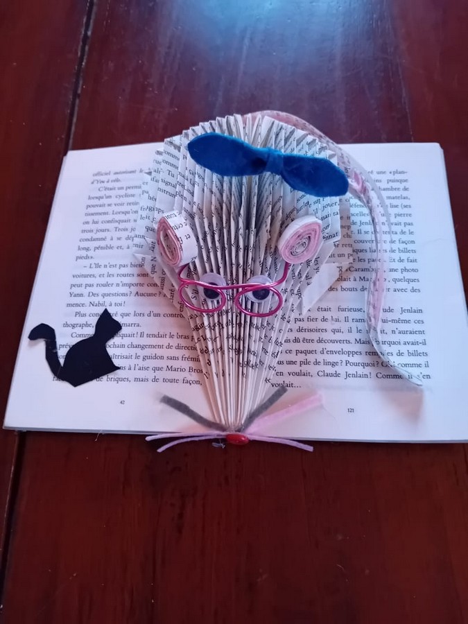 Livresplies3.jpg