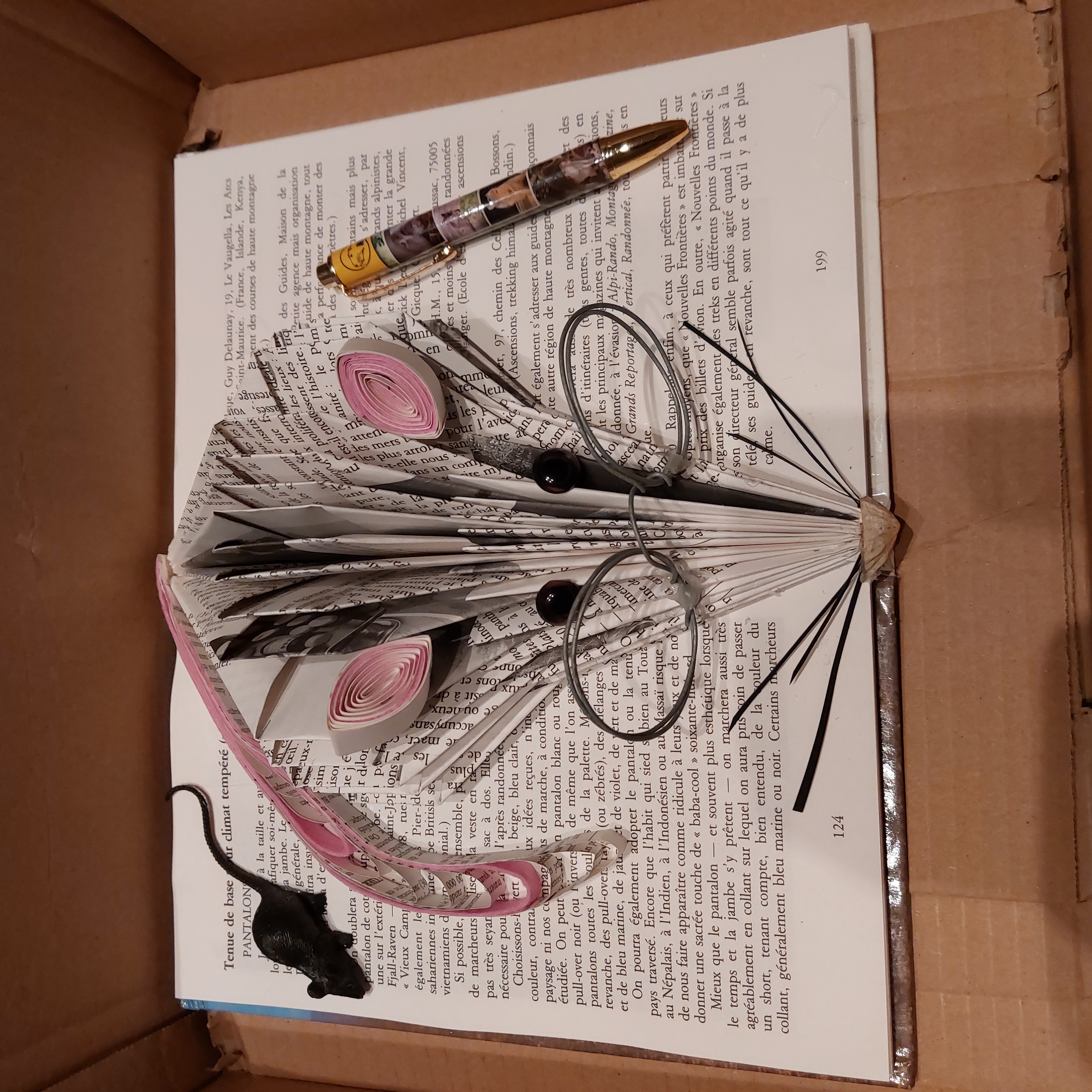 SOURIS.jpg