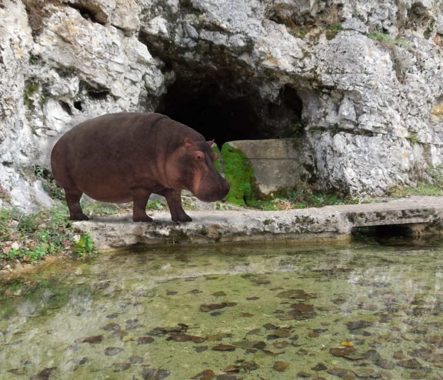 ChangementclimatiqueGignac2.jpg