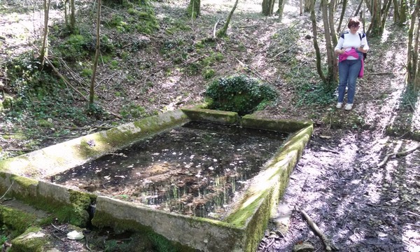 lavoir.jpg